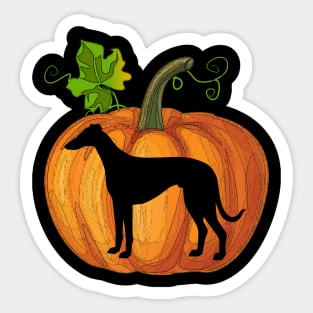 Whippet in pumpkin Sticker